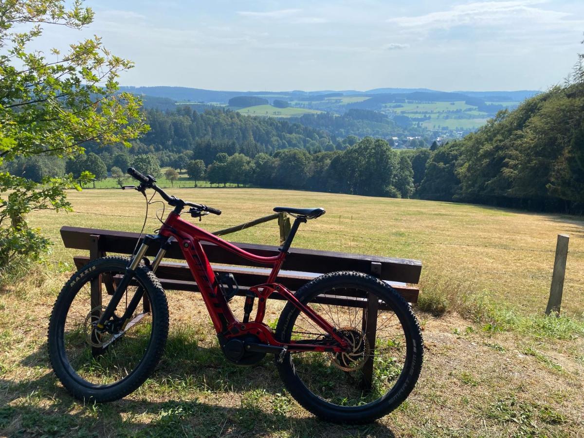 Appartamento Deutsches Haus Willingen  Esterno foto